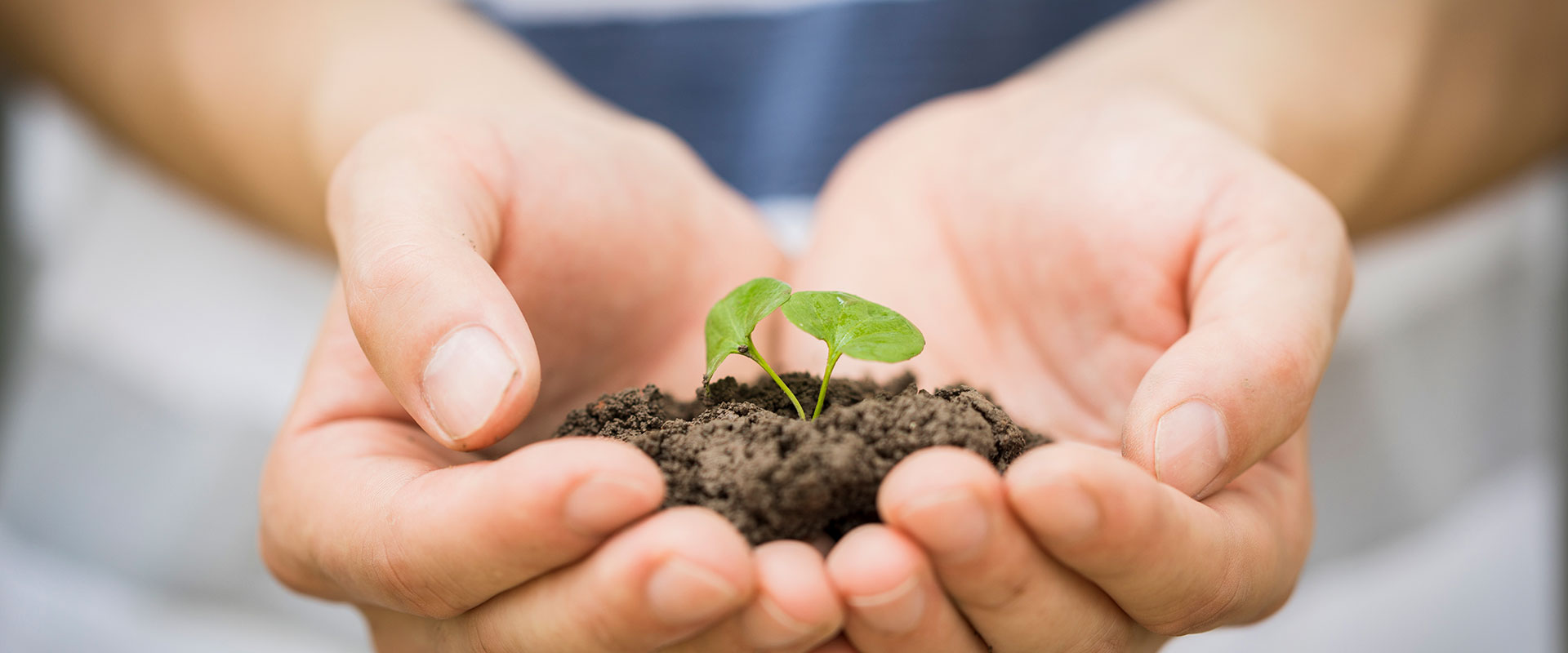 大有消毒 —— 全国超过80%以上二甲医院选择大有